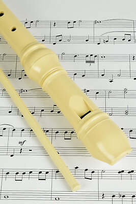 Descant School Recorder 8 Holes German Style Practice Starter Learning