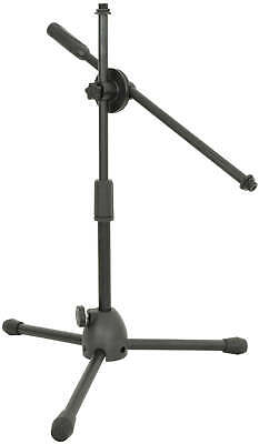 Mini Microphone Boom Stand Dual Mount Bass Drum Guitar Amp Recording H